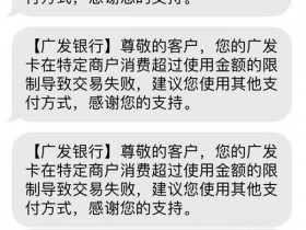 闪电宝plus怎么解除广发刷卡限制详细教程